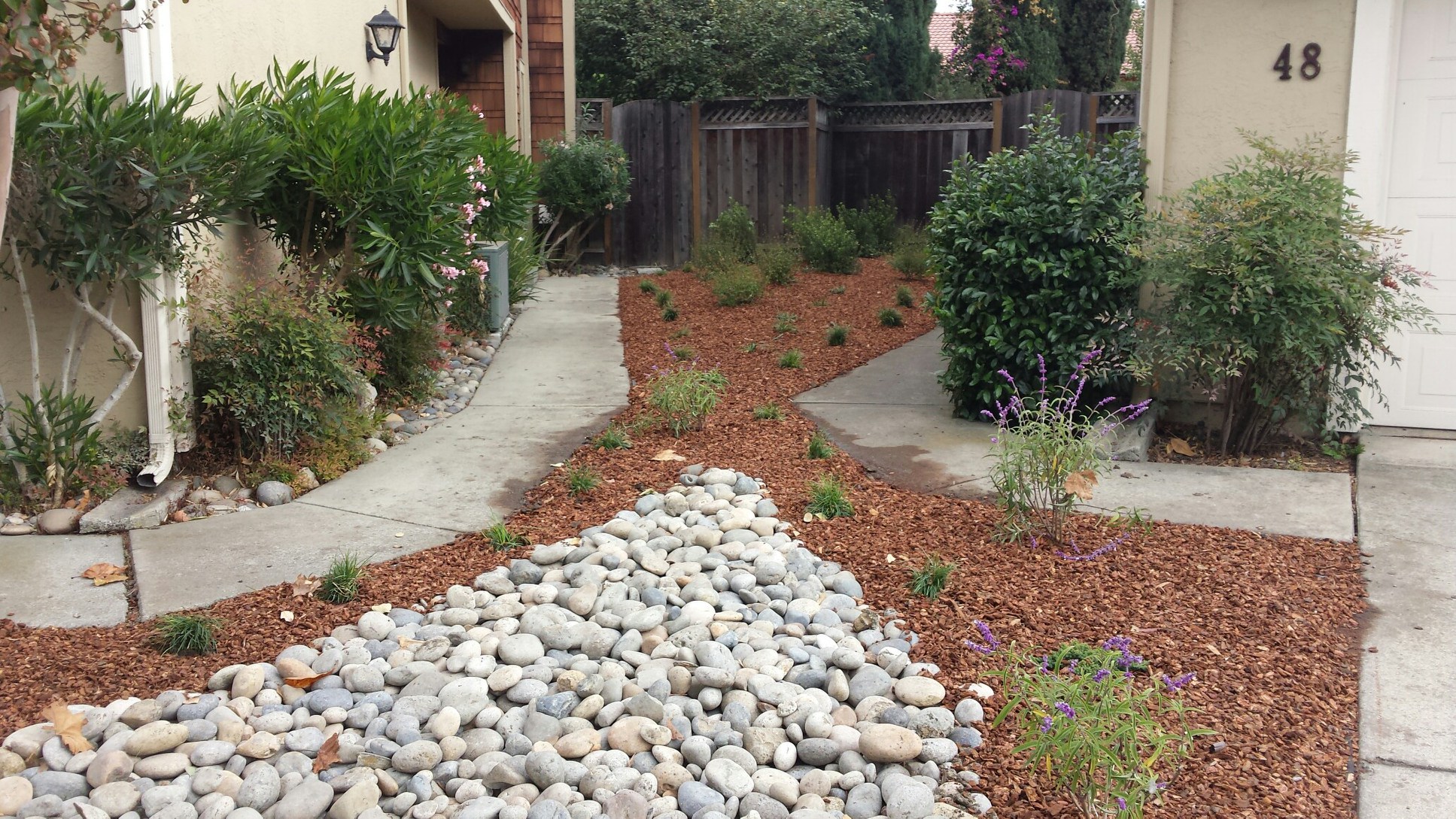 Santa Cruz Drought Tolerant Landscape