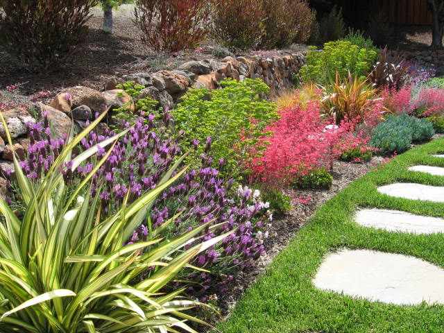 Santa Cruz Drought Tolerant Landscape | PGS Landscape Company