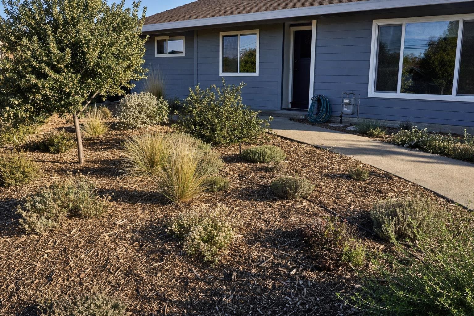 Front lawn converted to drought tolerant plants and bark mulch at a well-kept Santa Cruz home, the kind of conversion that qualifies for a lawn replacement rebate in Santa Cruz County