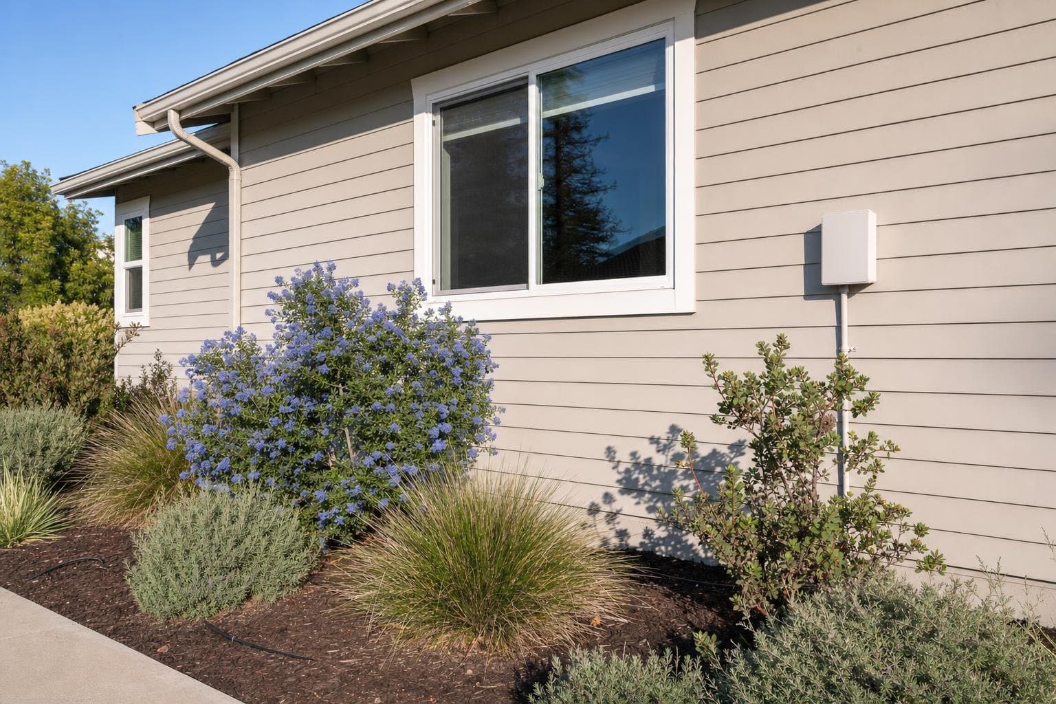 Smart irrigation controller mounted on a Santa Cruz home beside a drought-tolerant planting bed, the kind of install that qualifies for smart irrigation controller rebates in Santa Cruz County