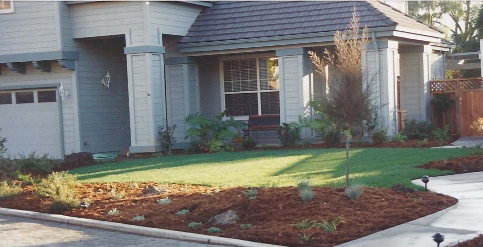 Santa Cruz Irrigation System